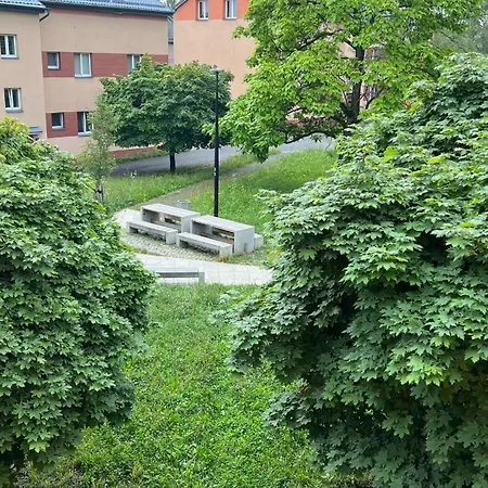 Apartment Park Close To The Centre *
